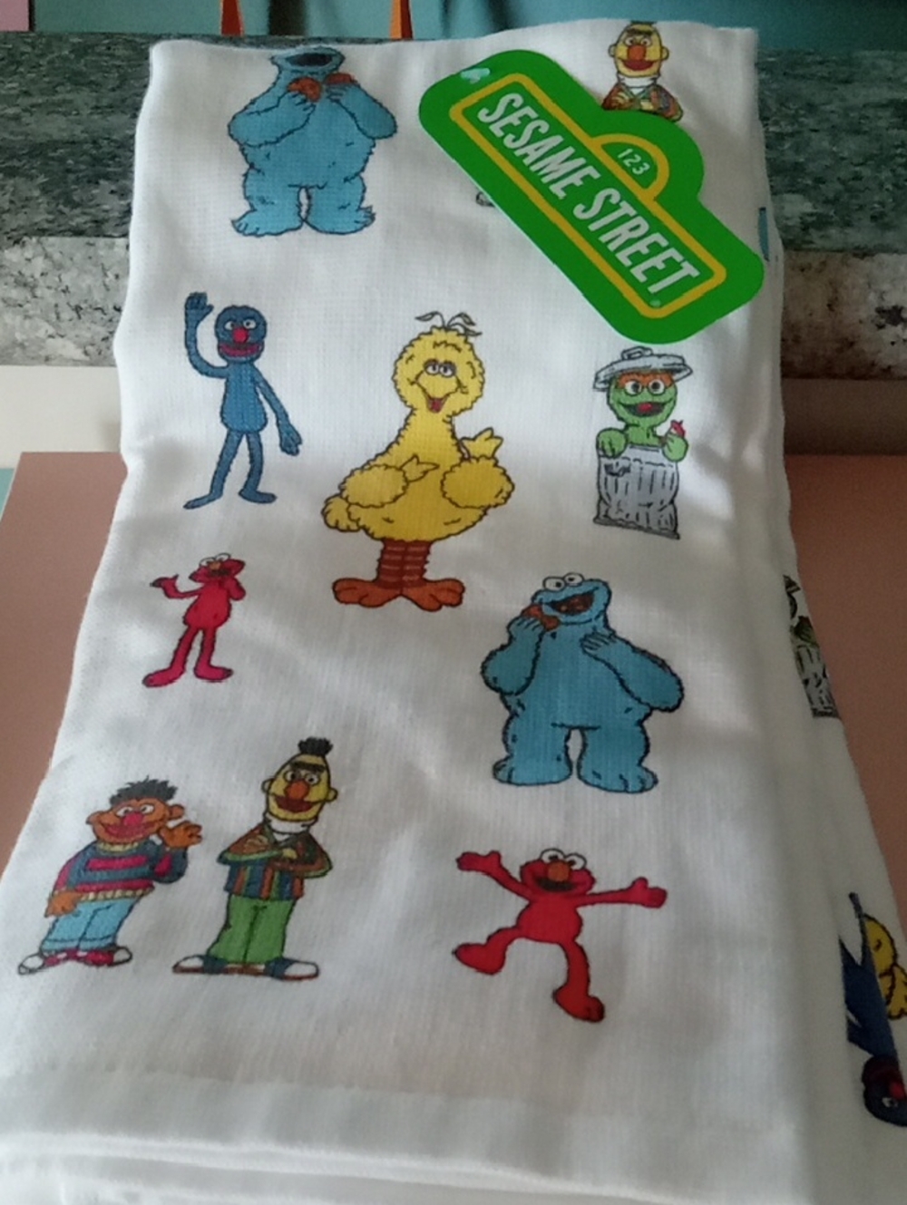 Sesame Street  Character Print Kitchen Towel Set